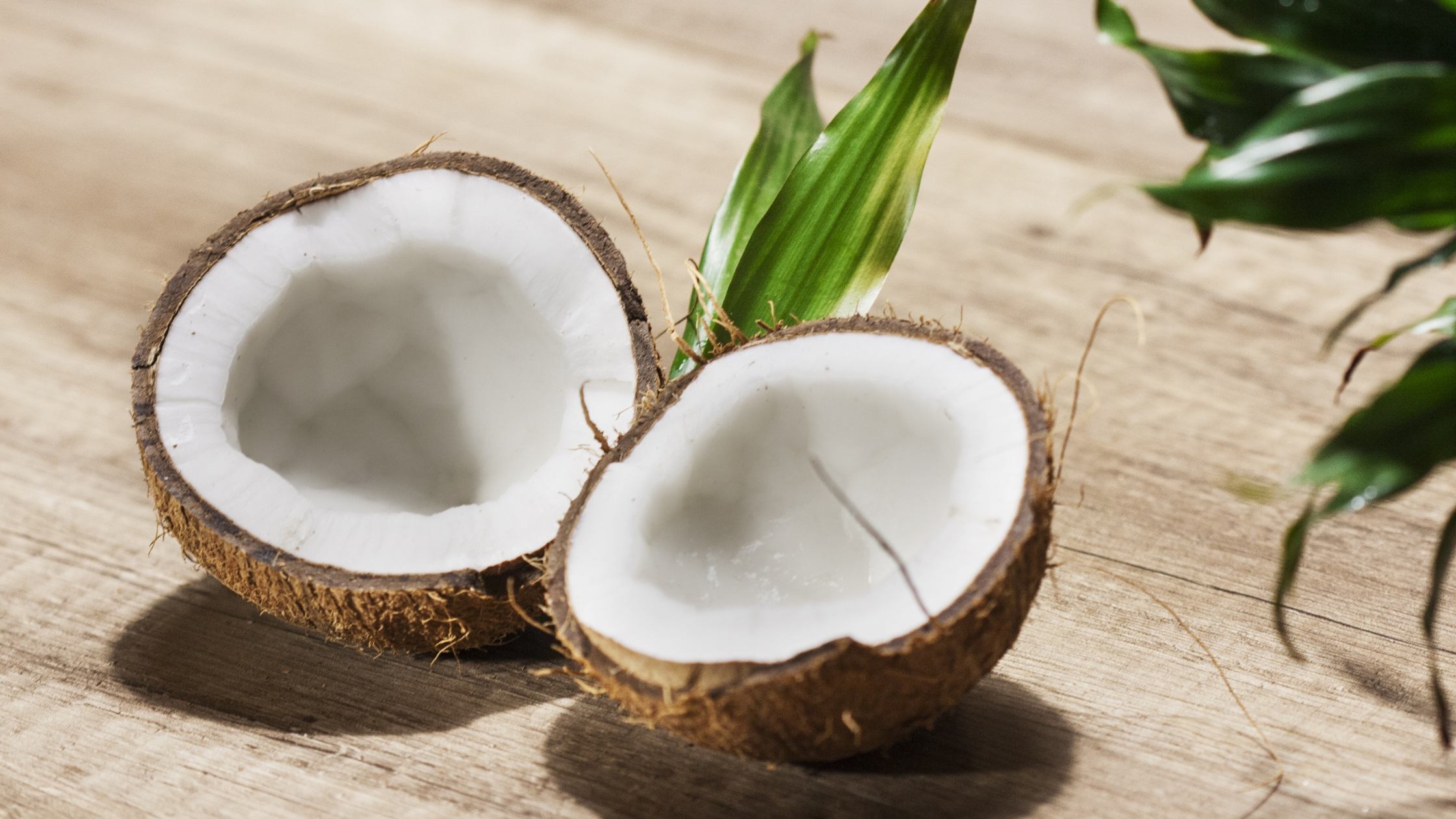 Importance of Coconuts in Diverse Cultures and Cuisines